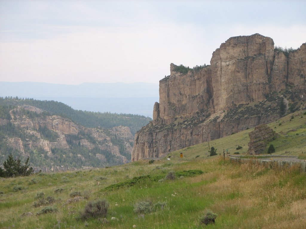 Jack's World Buffalo & Ten Sleep WY and Reed Point MT