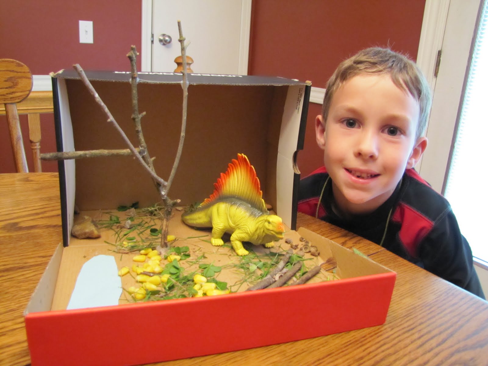 Thank You for Visiting our Family Blog! Building an Animal Habitat