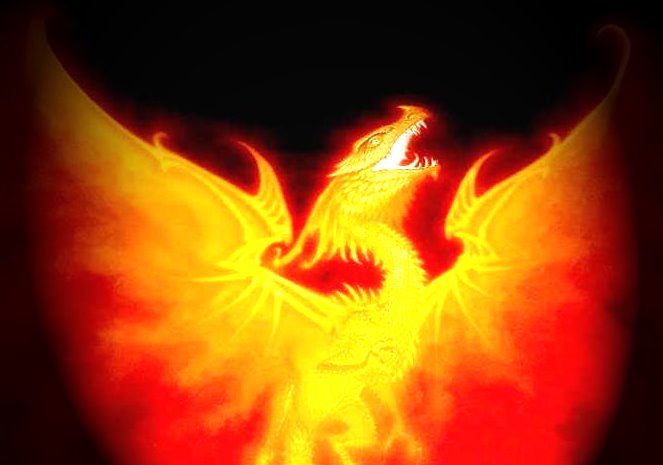 [FENIX.bmp]
