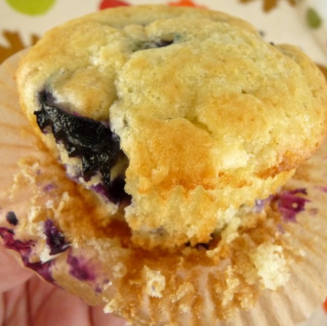 Christine's Cuisine Concord Grape Muffins