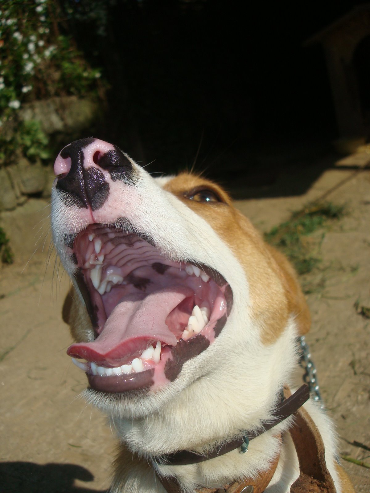 [DSC02184.JPG]