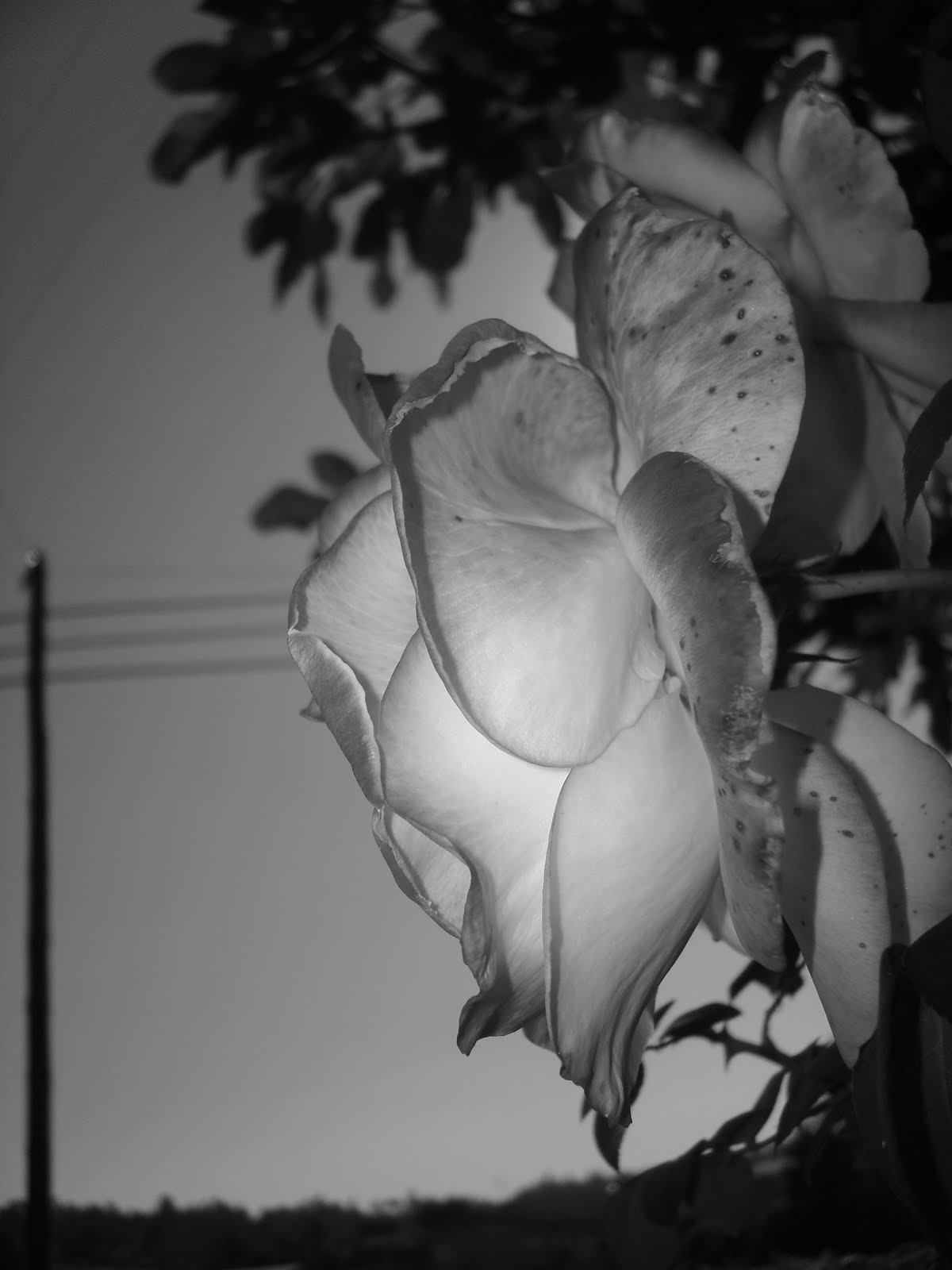 [DSC04407.JPG]