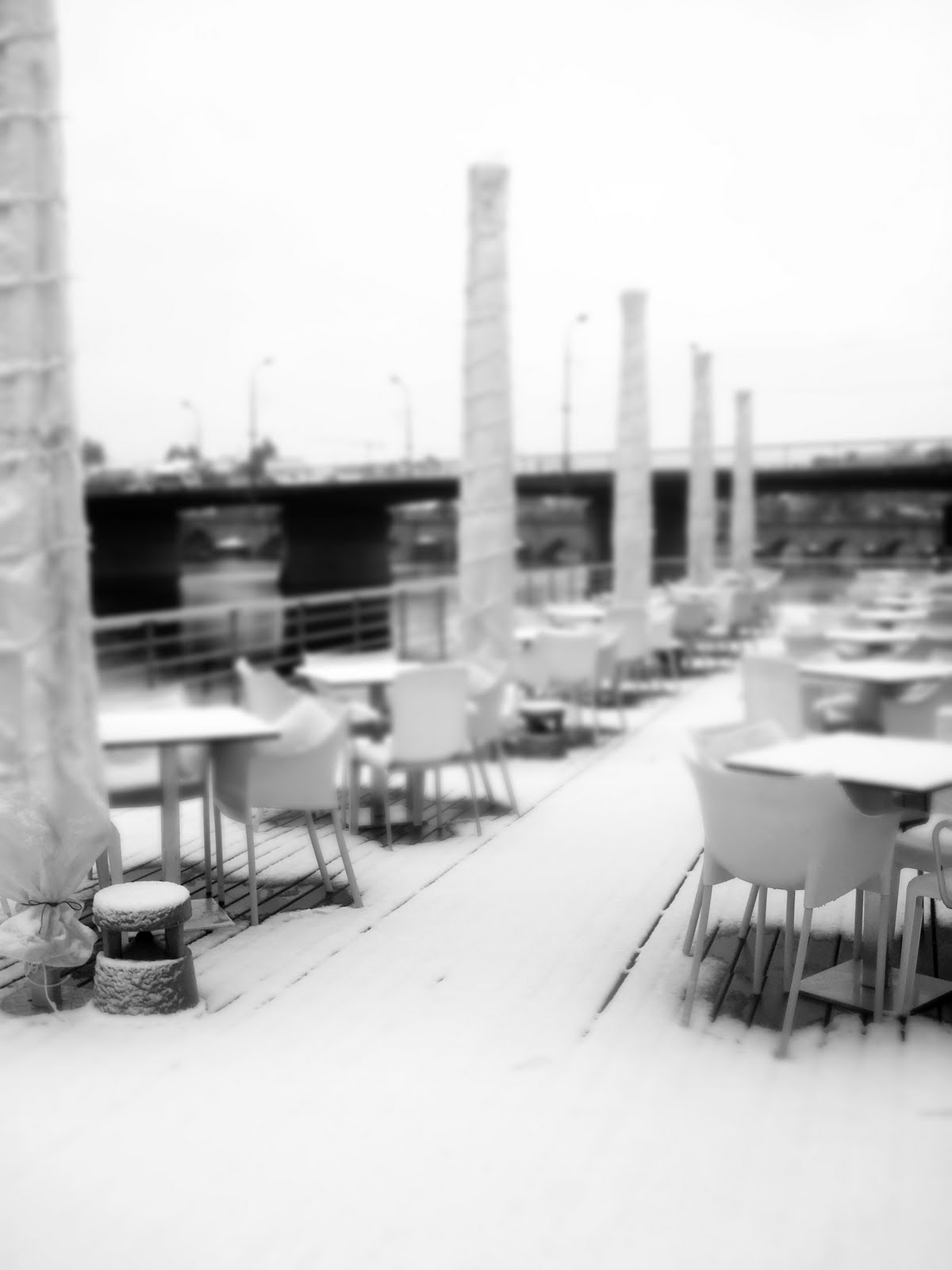 [DSC04997.JPG]