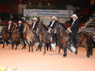 Trote y Glope Nacional 2009