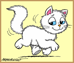 MINGAU É O GATO DA MAGALI.