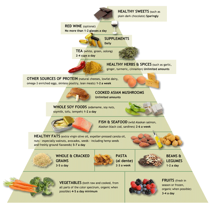 lank ruler template deer blank food pyramid template. lank ruler template deer