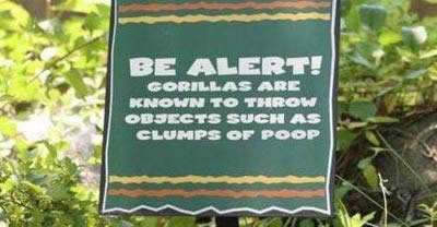 [zoo+warning+sign+gorilla+poo.jpg]