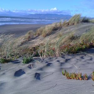 Beautiful Beaches: Ocean Beach in San Francisco
