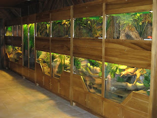 Iguana Cage