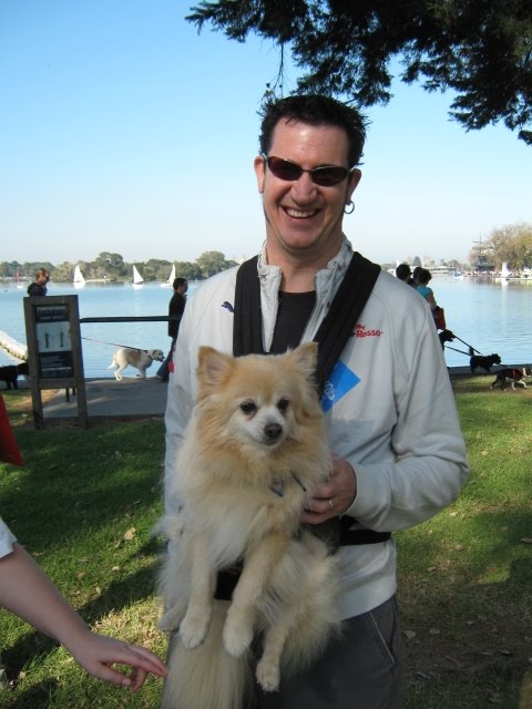 This proud Pomeranian-dad special ordered his custom "Outward Hound" doggie This proud Pomeranian-dad special ordered his custom "Outward Hound" doggie