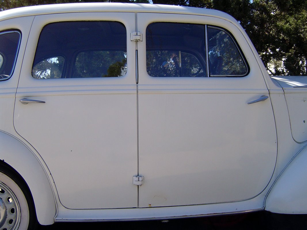 [DSC09737.jpg]