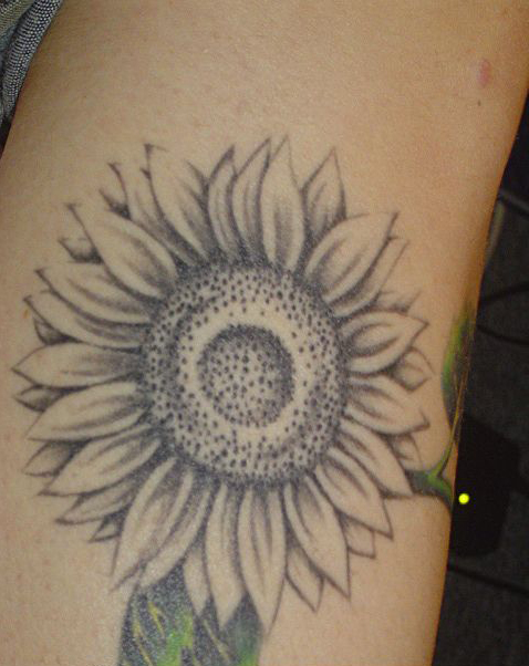 Tatuagens de flores Girassóis