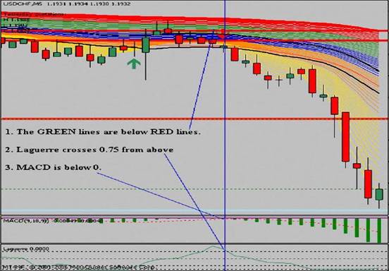 Forex trend follower system