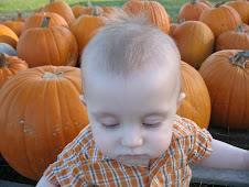 Pumpkin Patch