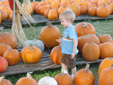 Pumpkin Patch