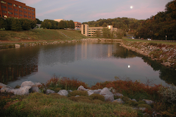 7. Pond at University of Tennessee Hospital. Cherokee Trail
