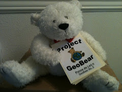 GeoBear No. 5: Ponce de Leon