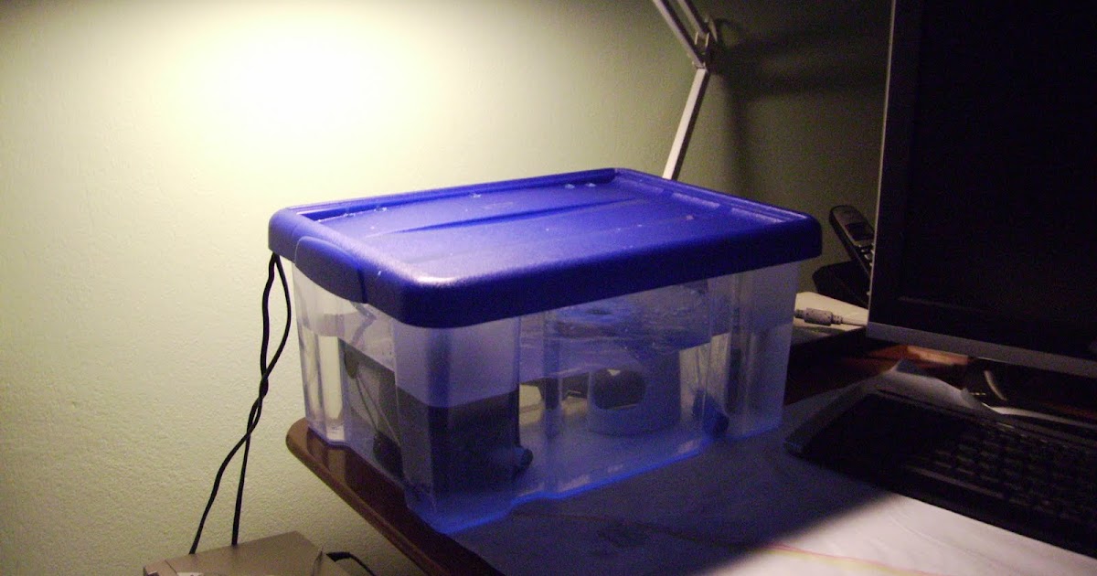 La vie de mon aquarium Comment réaliser un aquarium hopital