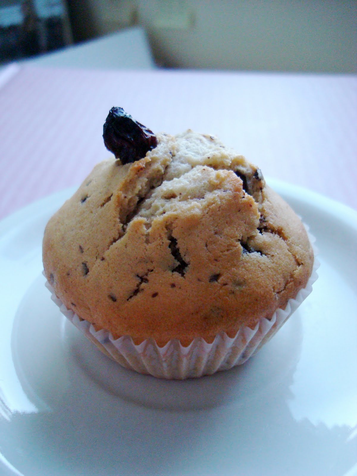 [DSC08501.JPG]