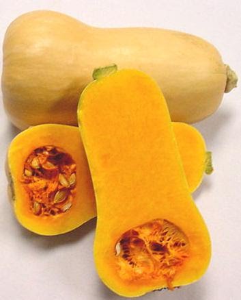 [squash_butternut.bmp]