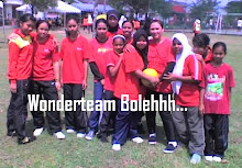 Perlawanan bola jaring