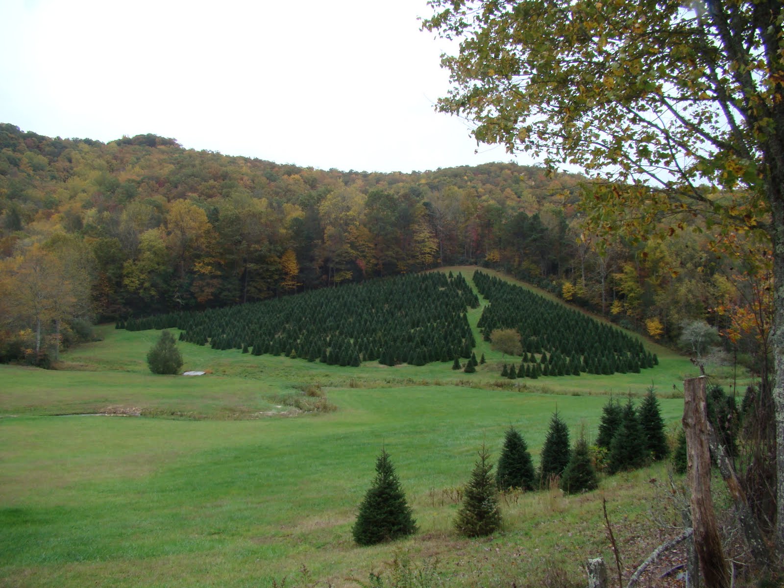 [DSC03240.JPG]