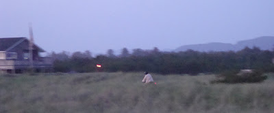 spooky bicycle at night, tall grass and twilight