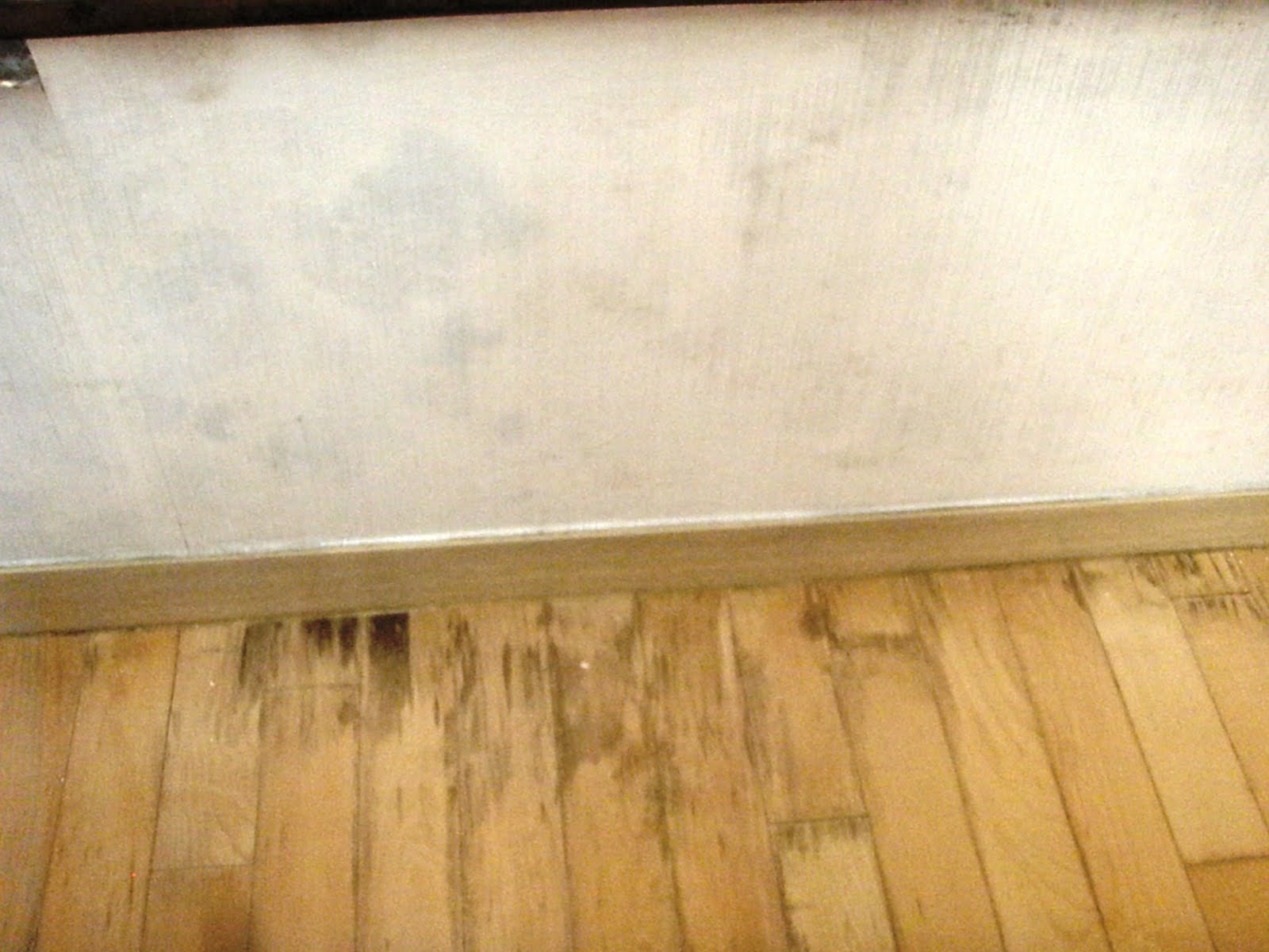 Mold Problems Gone Seoul Searching