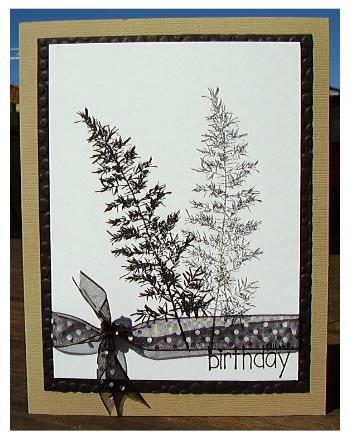 [darkroom+card.JPG]