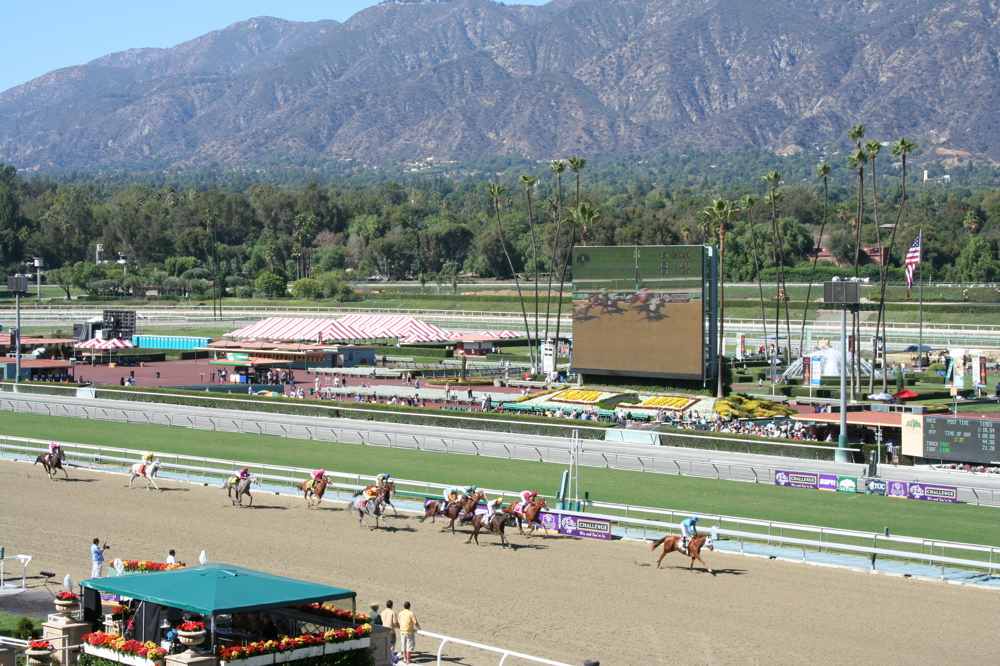 horse racing track the star loc...
