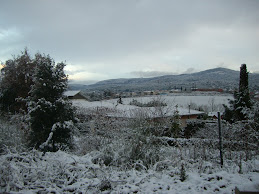 neu a l'ametlla