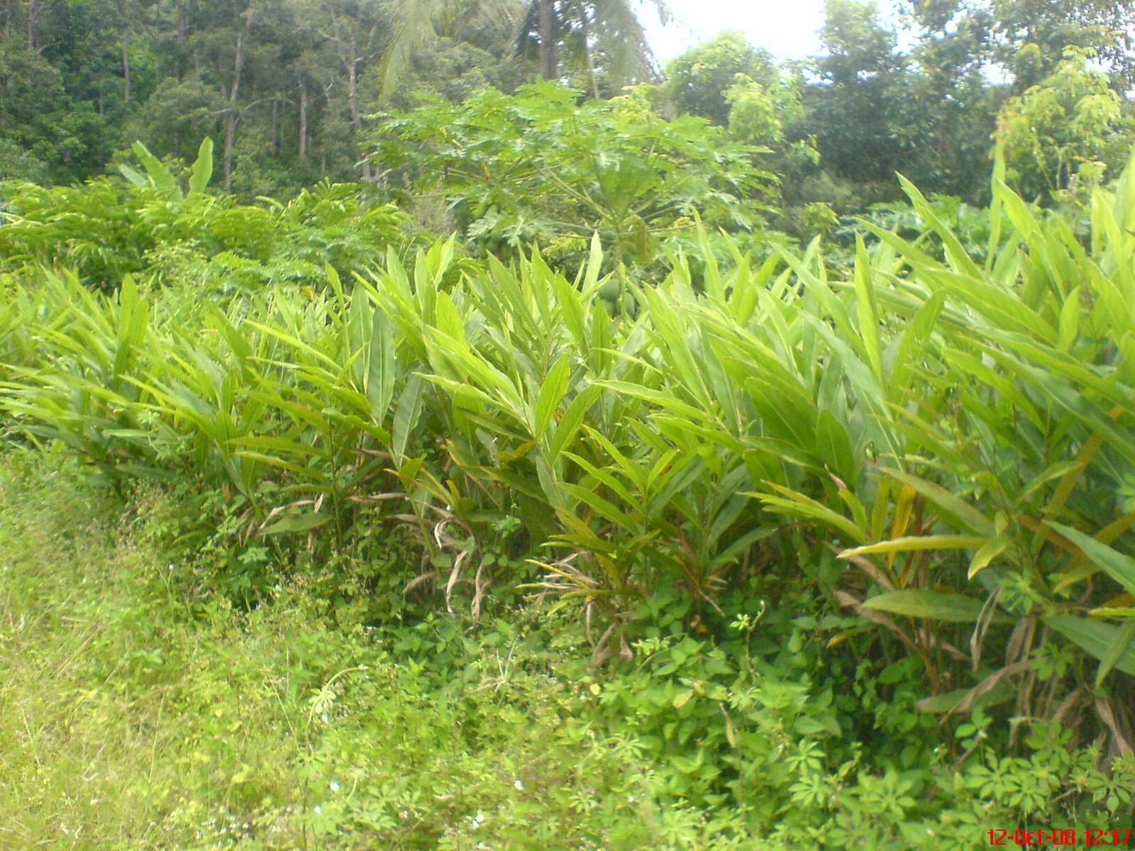 [DSC03276.JPG]