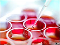adult-stem-cells
