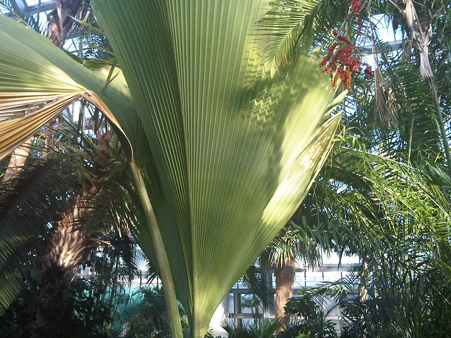 [IMG00111-20100212-1427.jpg]