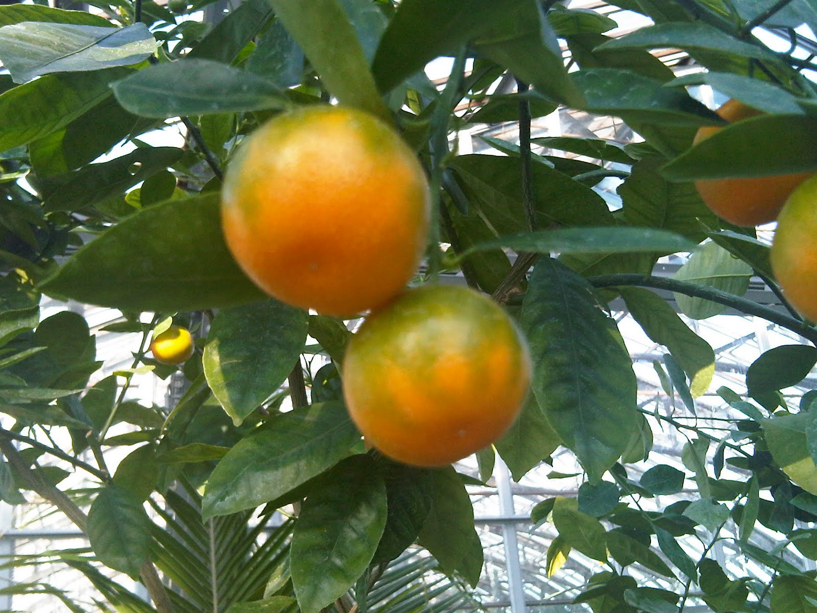 [IMG00097-20100212-1414.jpg]