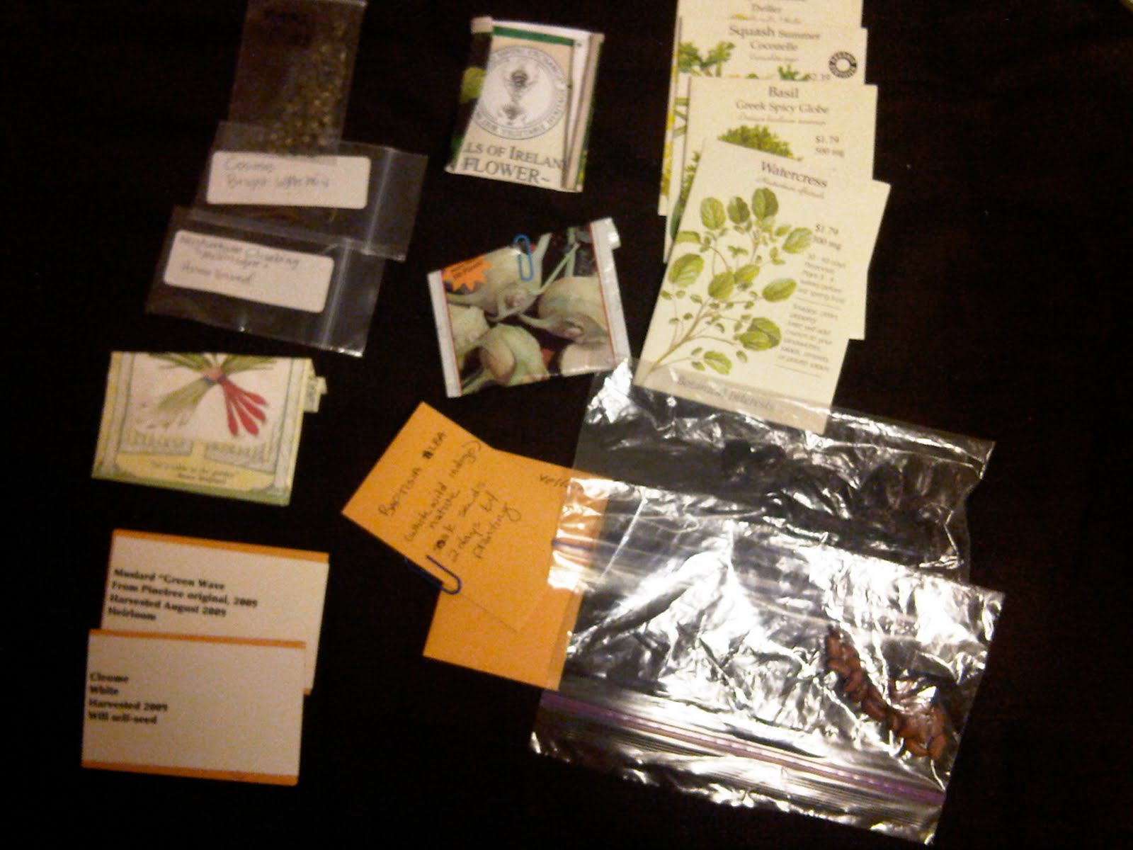 [IMG00173-20100309-0158.jpg]