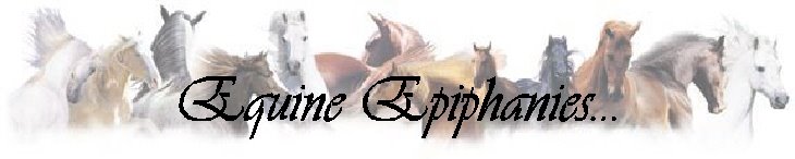Equine Epiphanies...