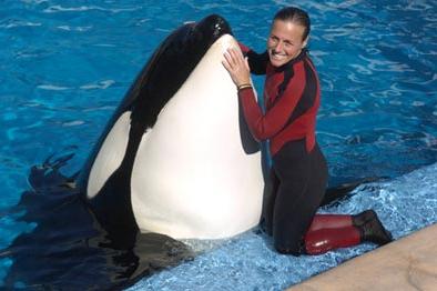 [orca2.jpg]