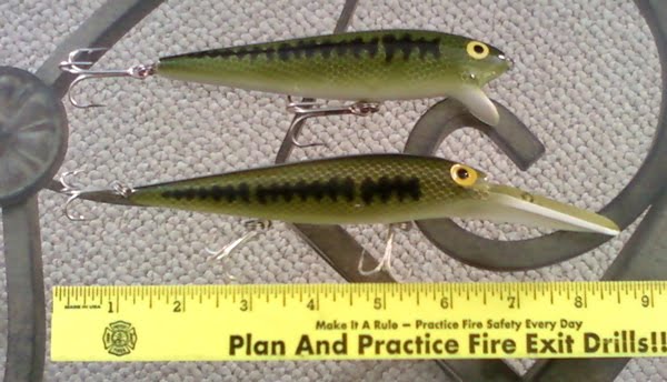 Baby Northern Pike