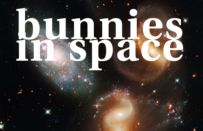 bunnies in space