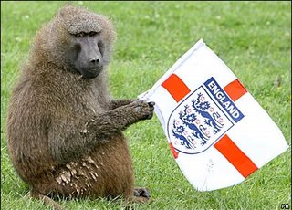 [englaish+monkey.jpg]