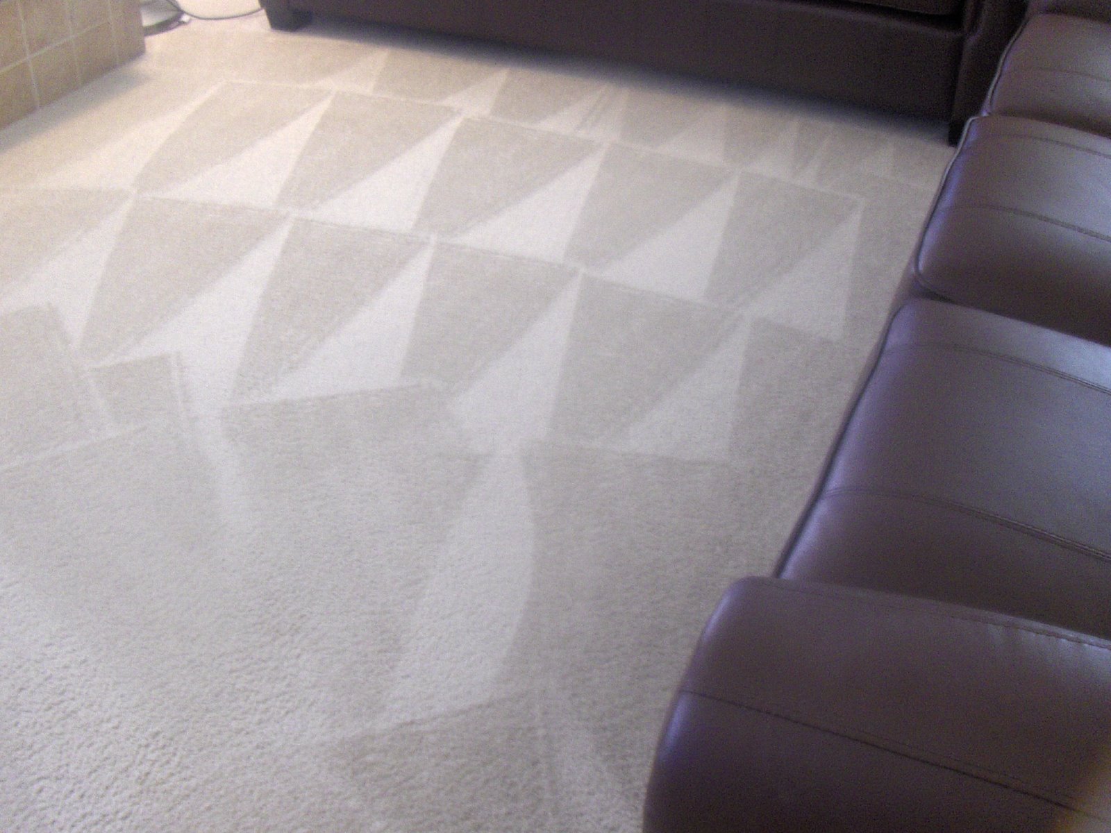 [clean_carpet_2.JPG]