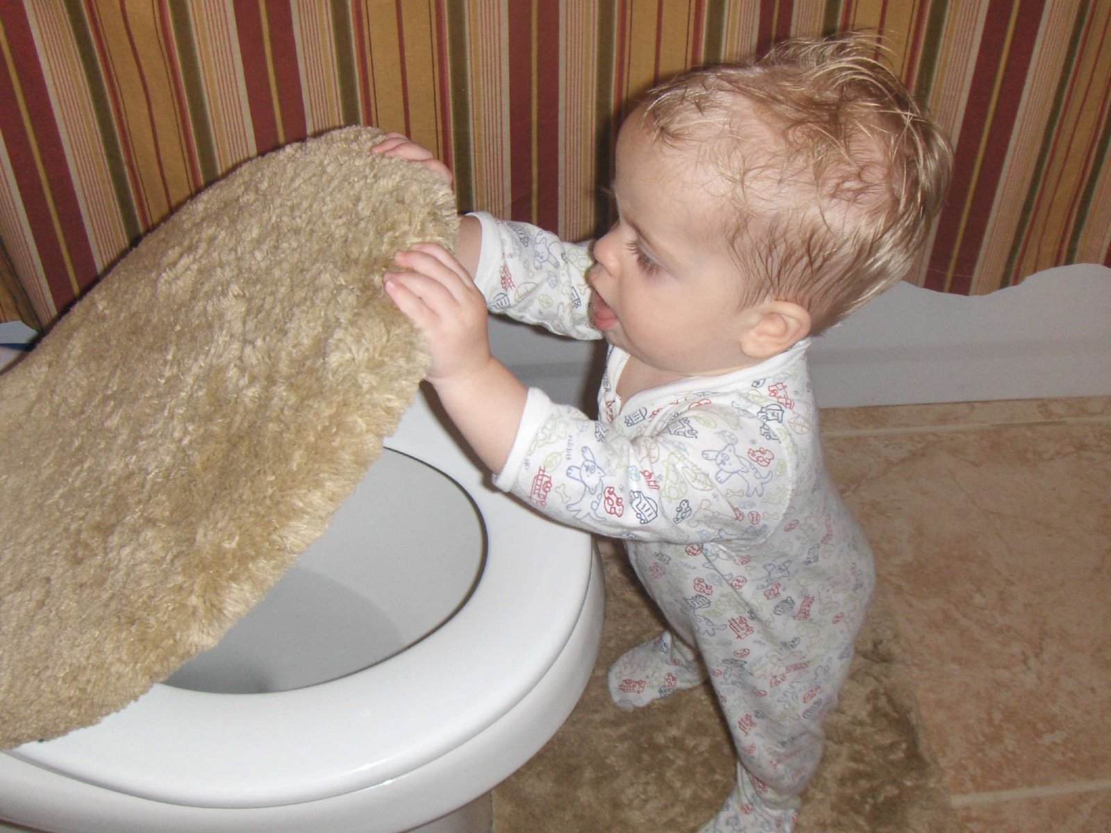 [Lucas_toilet_lid_open_aug07.jpg]