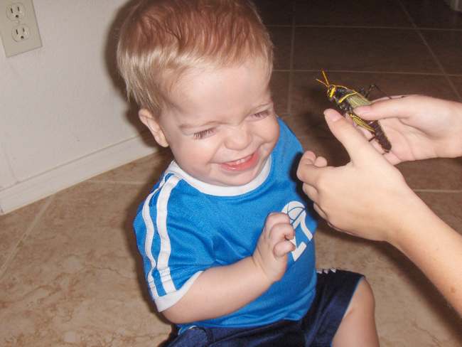 [Resized_Lucas_big_bug_oct07.jpg]