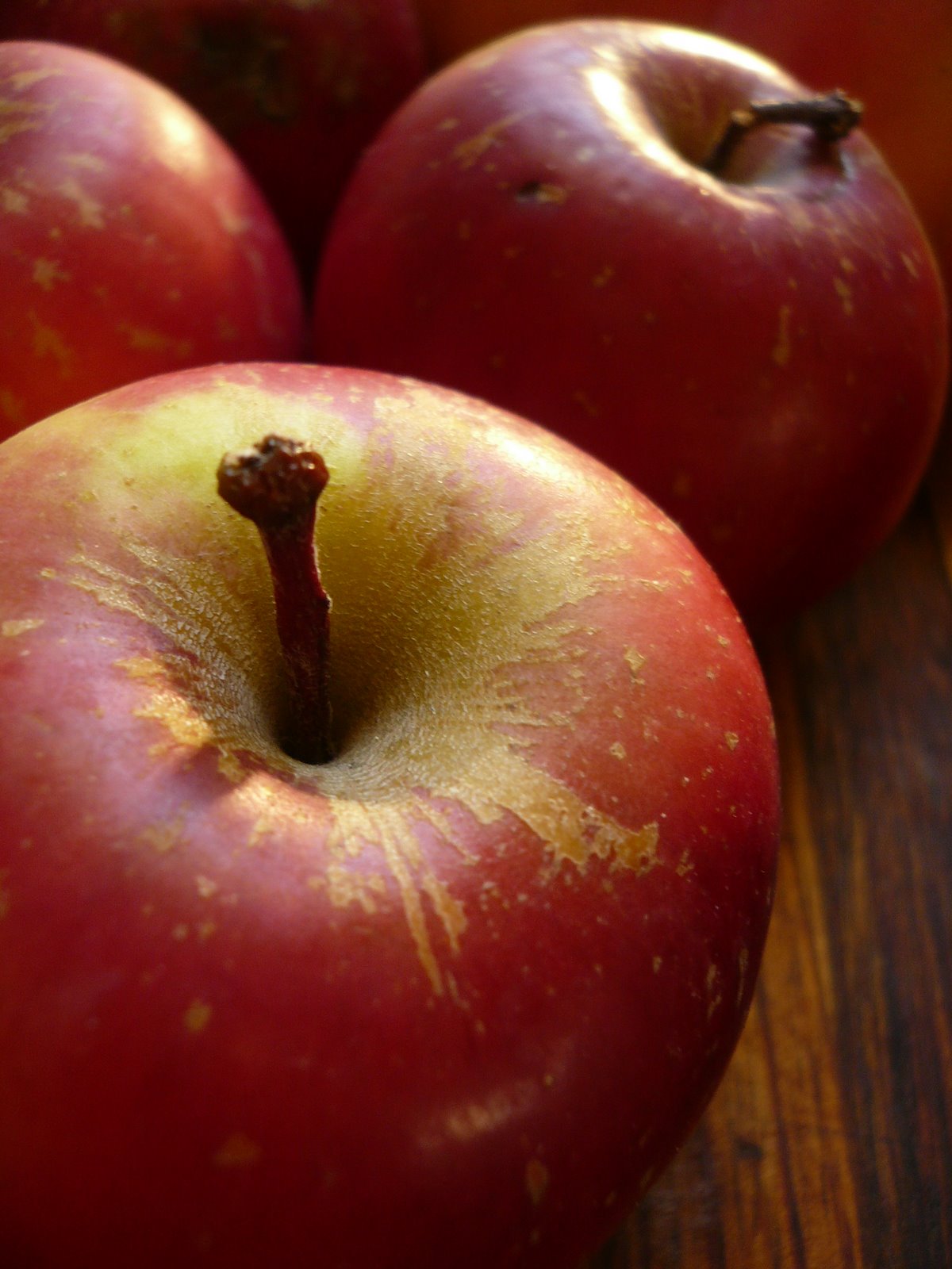 [27th+of+July+064.jpg]