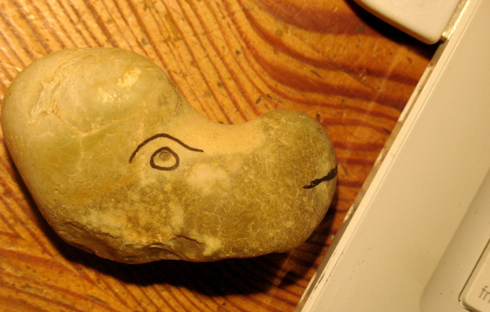 [Sussex+Pebble.jpg]