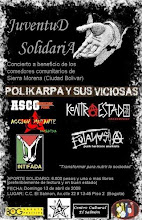 Juventud solidaria 13 abril 2008