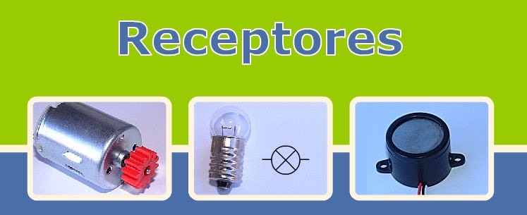 LOS RECEPTORES
