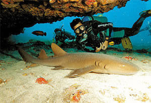 Fernando de Noronha
