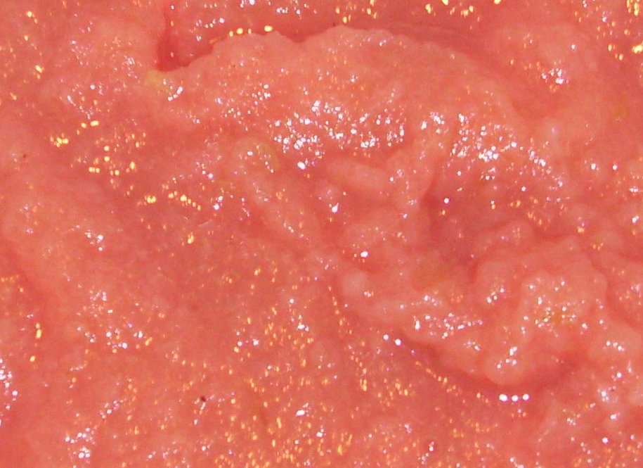 blogspot.com applesowce